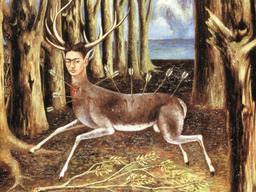 온 몸에 화살 맞아 피 흘리는 사슴의 표정이 담담해 보이는 이유는…