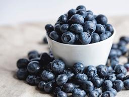 블루베리가 <strong>대사증후군</strong>에 미치는 영향