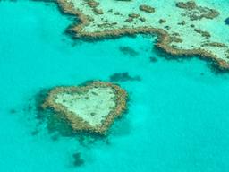 난 지금 케언스… 사랑을 만났다