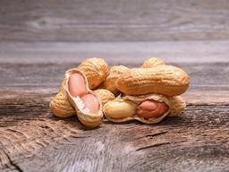 바나나와 땅콩이 굶주린 아이들을 살린다