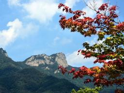 악! 악! 악! 계단에 놀랐나, 경치에 반했나