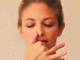 인간에게 2개의 콧구멍이 필요할까?