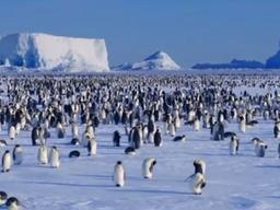 '남극 vs. 북극'…더 추운 곳은 어디?