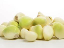 녹색으로 변한 우리집 <strong>마늘</strong>, 먹어도 괜찮나요?