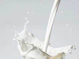 수분 보충에 가장 적합한 음료는 '우유'