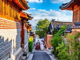 금빛 드리우는 한옥마을… 마법 같은 순간에 `찰칵`