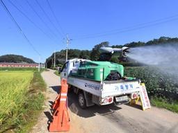 아프리카돼지열병 여파로 10월 <strong>가을</strong><strong>축제</strong> 줄줄이 ‘올스톱’