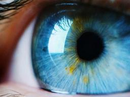 AI 이세돌과 대결 후 '<strong>알파고</strong>' 만든 구글 딥마인드... 다음 행보는?