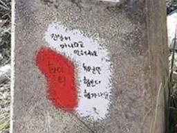 스페인 '순례자의 길' 삼겹살 굽고 한글 낙서까지