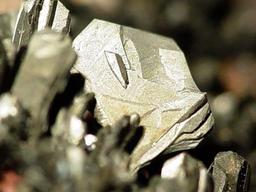 흙·지하수·살충제에도 있다…사약 주성분이었던 이것