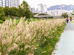 [카드뉴스] 가을이 좋은 <strong>서울</strong> 공원, 비교 체험 낮 vs 밤