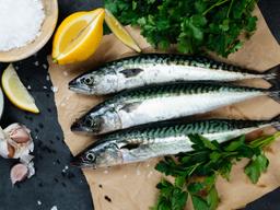 간편식, 안전성, 쉐푸드…수산물 <strong>트렌드</strong>가 달라졌다