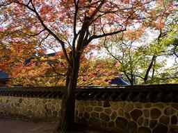 [카드뉴스] 무언가를 내려놓는 계절…가을 <strong>산사</strong>로 가자