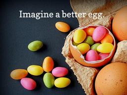 “<strong>계란</strong>은 미지의 탐구 영역…발효기술로 가짜 <strong>계란</strong> 개발”