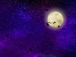 [달콤한 사이언스] 보름달이 뜨는 밤, 정말 범죄가 늘어날까