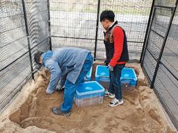 몽골서 5000만원에 사온 소똥구리 200마리… 말똥 구해 먹이며 애지중지