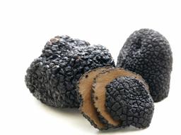 국내도 ‘트러플’ 인공재배 가능할까