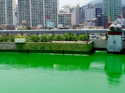 고층에서 보고 놀랐습니다, <strong>옥상</strong>은 왜 초록색으로 도배될까요?