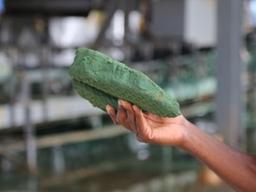 바다로 뛰어든 나라들, '파란 덩어리' 코발트가 뭐기에