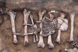 우리는 식인종과 얼마나 다른가