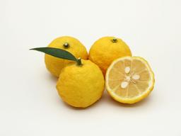 <strong>유자</strong> 비료부터 햄버거 패티까지…광어의 변신