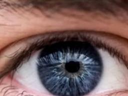 '흰자' 많은 사람 눈이 생존율 높였다?