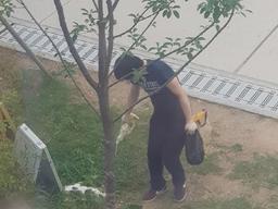 '연트럴파크 고양이 살해' 30대 징역 6월, 법정구속…"이례적 엄벌"