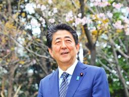 야쿠자도 초대?…활짝 핀 아베 '벚꽃 <strong>스캔들</strong>'