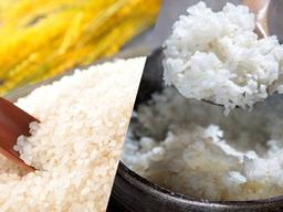 쌀이 <strong>밥맛</strong>을 결정! 좋은 쌀 고르는 방법 및 보관법