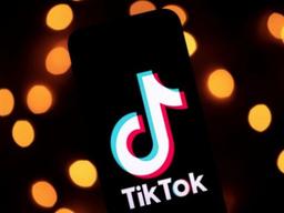 15초 영상으로 유튜브 위협하던 틱톡 추락 위기…왜?