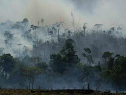 인간은 25만 년 후에도 지구에 있을까?