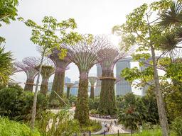 남자 혼자 떠난 싱가포르 3박4일 자유여행기!(<strong>맛집</strong>, 쇼핑리스트)