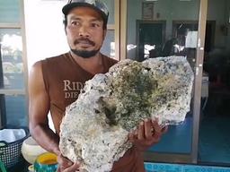 ‘바다의 로또’ 용연향 해변서 주운 태국 남성…8억원 횡재