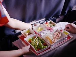 <strong>기내식</strong>이 맛없게 느껴지는 이유는