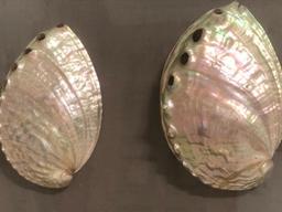 갈고 닦고…전복 껍데기를 보석으로 바꾸는 '요술손'