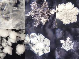 <strong>영동</strong>에는 주로 ‘스노맨’처럼 생긴 눈이 내린다