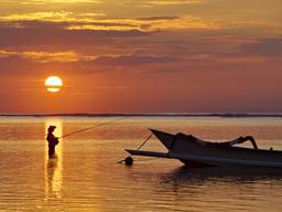 삶의 대답을 건져낸 ‘신들의 섬’