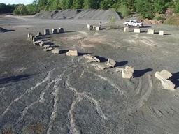 3억 8500만년 된 나무 뿌리 화석 발견