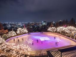 올<strong>겨울</strong> <strong>데이트</strong>는 여기서… 서울 시내 아이스링크 4