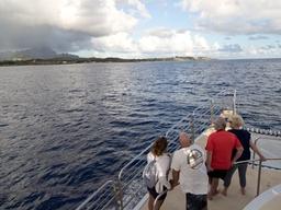 고래가 돌아왔다, <strong>하와이</strong>를 겨울에 가야 하는 이유