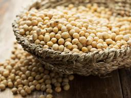 오래 살려면 ‘콩’, 기후<strong>위기</strong> 대안도…