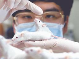 [과학&미래] 25g 작은 몸집이지만…죽어서 400개 데이터를 남겨요