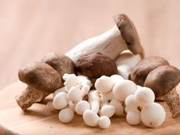 <strong>버섯</strong>이 체중관리에 좋은 이유