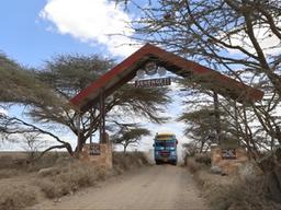 탄자니아 ① 진짜 <strong>야생</strong>이 있는 곳, 세렝게티