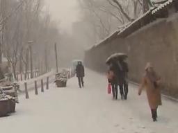 산성비와 산성눈… 추억이 사라진 시대