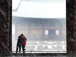 머리위에 전봇대가? 사진 초보자가 범하는 흔한 실수