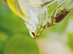 식탁 위 풍경을 바꾸는 다양한 오일들