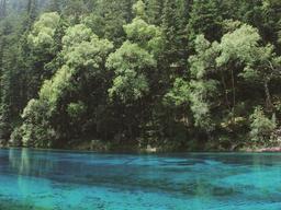 순수한 그대에게, 중국 쓰촨