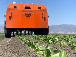 <strong>로봇</strong>이 야채도 키운다… 잡초 제거 AI <strong>로봇</strong> 개발