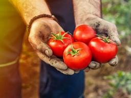 지난해 미국 유기농산물 판매, 신기록 세워